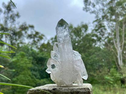 ET Lemurian Seed Quartz Channeler Scepter AAA Grade