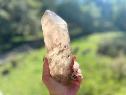 Left Time Link Elestial Smokey Citrine Quartz Lemurian Seed With Pleiadian Starbrary and Diamond Window