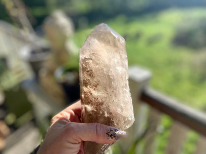 Left Time Link Elestial Smokey Citrine Quartz Lemurian Seed With Pleiadian Starbrary and Diamond Window