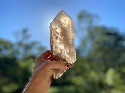 Left Time Link Elestial Smokey Citrine Quartz Lemurian Seed With Pleiadian Starbrary and Diamond Window