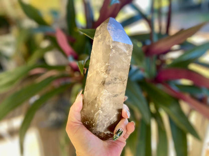 Left Time Link Elestial Smokey Citrine Quartz Lemurian Seed With Pleiadian Starbrary and Diamond Window