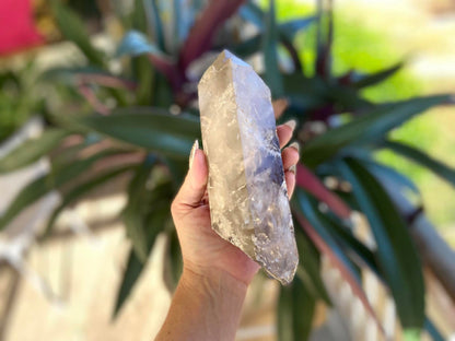 Left Time Link Elestial Smokey Citrine Quartz Lemurian Seed With Pleiadian Starbrary and Diamond Window
