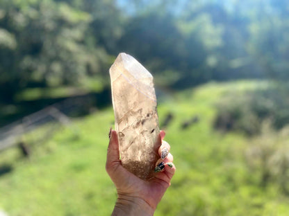 Left Time Link Elestial Smokey Citrine Quartz Lemurian Seed With Pleiadian Starbrary and Diamond Window