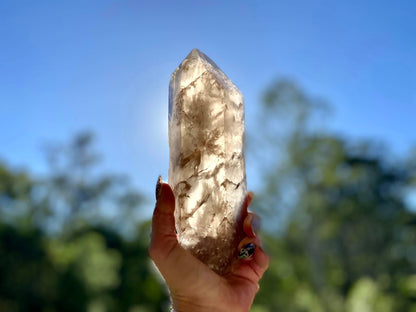 Left Time Link Elestial Smokey Citrine Quartz Lemurian Seed With Pleiadian Starbrary and Diamond Window