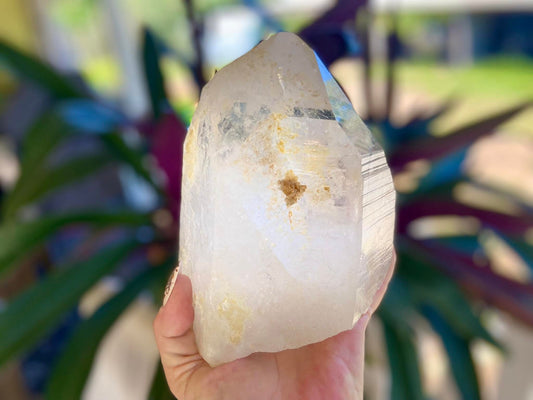 Golden Healer Pleiadian Starbary Master Record Keeper Natural Point