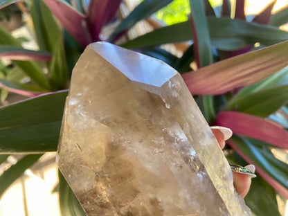 Left Time Link Elestial Smokey Citrine Quartz Lemurian Seed With Pleiadian Starbrary and Diamond Window