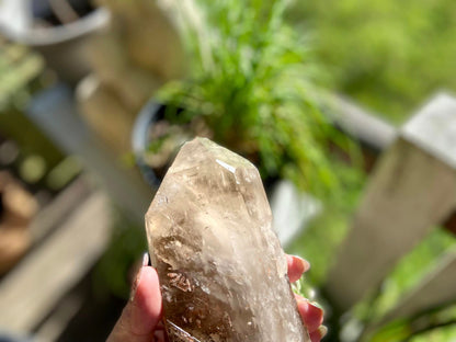 Left Time Link Elestial Smokey Citrine Quartz Lemurian Seed With Pleiadian Starbrary and Diamond Window
