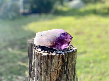Dragon Tooth Amethyst and Ametrine Quartz Phantom Natural Point