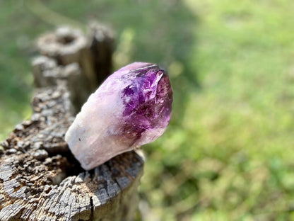 Dragon Tooth Amethyst and Ametrine Quartz Phantom Natural Point