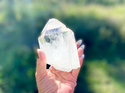 Pleiadian Starbrary Lemurian Seed Time Keeper Tantric Twin with Rainbows AAA Grade 581 Grams