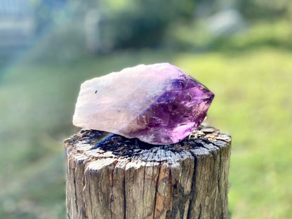 Dragon Tooth Amethyst and Ametrine Quartz Phantom Natural Point