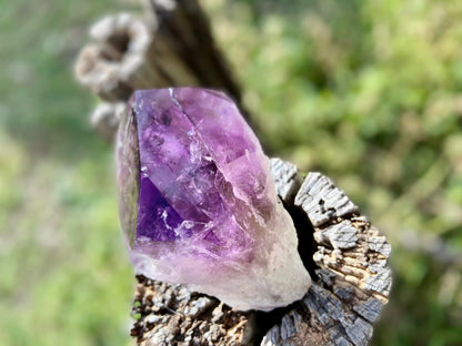 Dragon Tooth Amethyst and Ametrine Quartz Phantom Natural Point