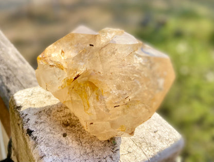Lemurian Golden Healer Fenster Quartz with Enhydro | Self-Healed Elestial Tip • Pure Light • High Vibrational | 351 g