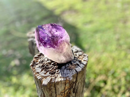 Dragon Tooth Amethyst and Ametrine Quartz Phantom Natural Point