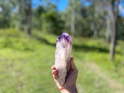 Dragon Tooth Amethyst with Smoky Quartz Phantom Natural Point