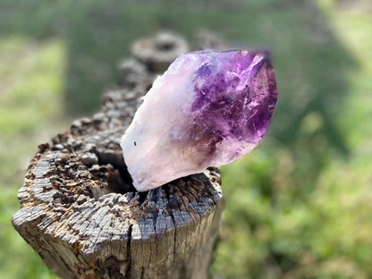 Dragon Tooth Amethyst and Ametrine Quartz Phantom Natural Point