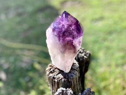 Dragon Tooth Amethyst and Ametrine Quartz Phantom Natural Point