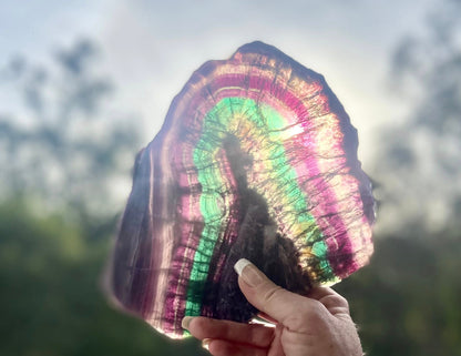 Rainbow Fluorite Crystal Rainbow Fluorite Slab | Intuition + Clarity + Balance | Third Eye Chakra |1084 Grams