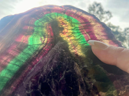 Rainbow Fluorite Crystal Rainbow Fluorite Slab | Intuition + Clarity + Balance | Third Eye Chakra |1084 Grams