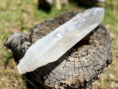 Lemurian Seed Quartz Crystal | Ancient Wisdom | Record Keepers |Phantasmagoric Rainbows | 1.528 kg