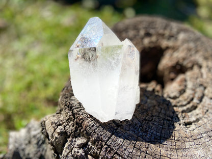 Pleiadian Starbrary Lemurian Seed Time Keeper Tantric Twin with Rainbows AAA Grade 581 Grams