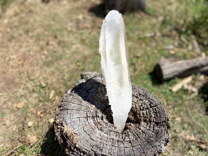 Lemurian Seed Quartz Crystal | Ancient Wisdom | Record Keepers |Phantasmagoric Rainbows | 1.528 kg