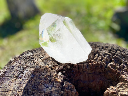 Pleiadian Starbrary Lemurian Seed Time Keeper Tantric Twin with Rainbows AAA Grade 581 Grams