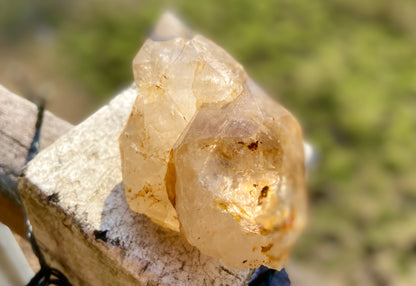 Lemurian Golden Healer Fenster Quartz with Enhydro | Self-Healed Elestial Tip • Pure Light • High Vibrational | 351 g