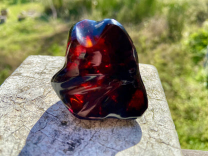 Rare Red Fire Baltic Amber with Ancient Organic Inclusions: Collector's Gem