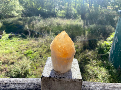 Citrine Cut Base Polished Point Generator