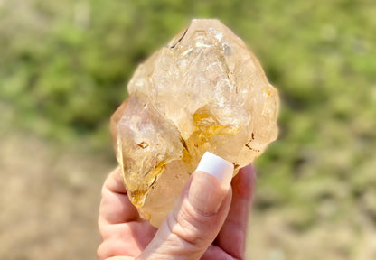 Lemurian Golden Healer Fenster Quartz with Enhydro | Self-Healed Elestial Tip • Pure Light • High Vibrational | 351 g