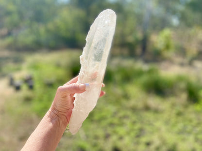 Lemurian Seed Quartz Crystal | Ancient Wisdom | Record Keepers |Phantasmagoric Rainbows | 1.528 kg