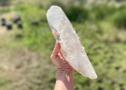Lemurian Seed Quartz Crystal | Ancient Wisdom | Record Keepers |Phantasmagoric Rainbows | 1.528 kg