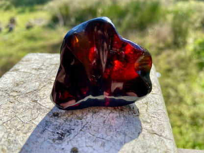 Rare Red Fire Baltic Amber with Ancient Organic Inclusions: Collector's Gem