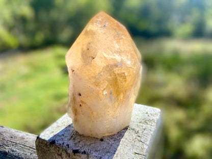Citrine Cut Base Polished Point Generator