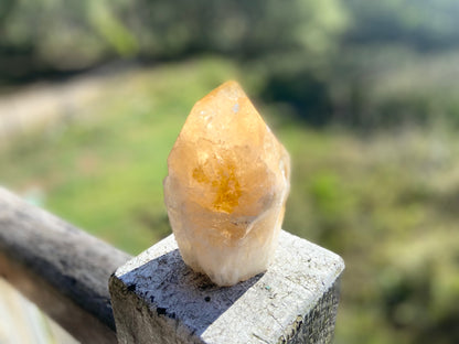 Citrine Cut Base Polished Point Generator