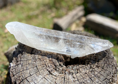 Lemurian Seed Quartz Crystal | Ancient Wisdom | Record Keepers |Phantasmagoric Rainbow | 1.313 kg