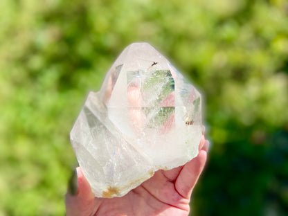 Pleiadian Starbrary Lemurian Seed Time Keeper Tantric Twin with Rainbows AAA Grade 581 Grams
