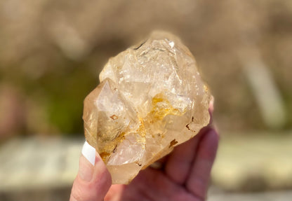 Lemurian Golden Healer Fenster Quartz with Enhydro | Self-Healed Elestial Tip • Pure Light • High Vibrational | 351 g