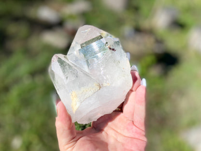 Pleiadian Starbrary Lemurian Seed Time Keeper Tantric Twin with Rainbows AAA Grade 581 Grams