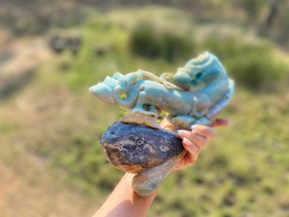 Caribbean Amazonite Dragon Sculpture | Strength • Renewal • Kundalini Energy | 1.931 kg