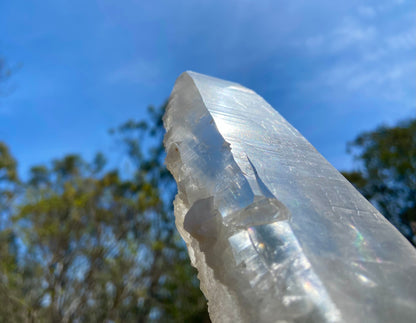 Lemurian Seed Quartz Crystal | Ancient Wisdom | Record Keepers |Phantasmagoric Rainbows | 1.528 kg