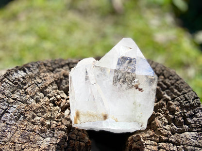 Pleiadian Starbrary Lemurian Seed Time Keeper Tantric Twin with Rainbows AAA Grade 581 Grams