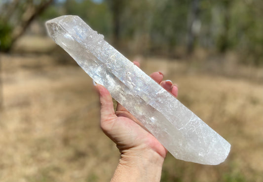 Lemurian Seed Quartz Crystal | Ancient Wisdom | Record Keepers |Phantasmagoric Rainbow | 1.313 kg