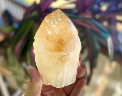 Citrine Cut Base Polished Point Generator