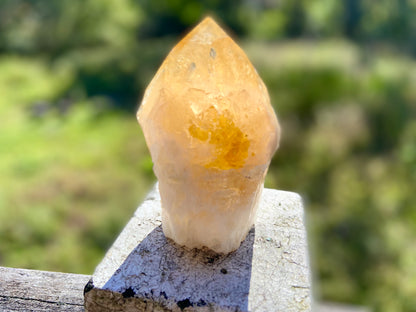 Citrine Cut Base Polished Point Generator