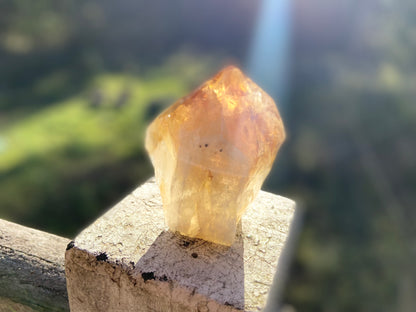 Citrine Cut Base Polished Point Generator