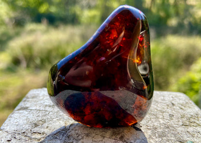 Rare Red Fire Baltic Amber with Ancient Organic Inclusions: Collector's Gem