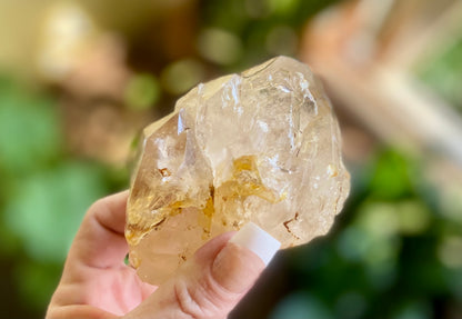 Lemurian Golden Healer Fenster Quartz with Enhydro | Self-Healed Elestial Tip • Pure Light • High Vibrational | 351 g
