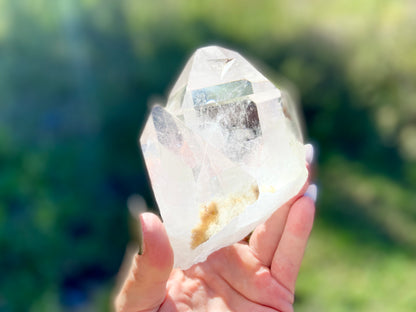 Pleiadian Starbrary Lemurian Seed Time Keeper Tantric Twin with Rainbows AAA Grade 581 Grams